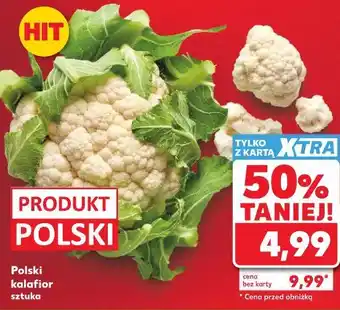 Kaufland Polski kalafior sztuka oferta