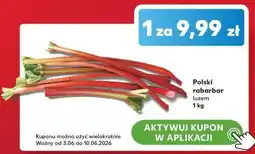Kaufland Polski rabarbar luzem oferta