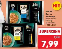 Kaufland Sheba Karma dla kotów różne rodzaje oferta