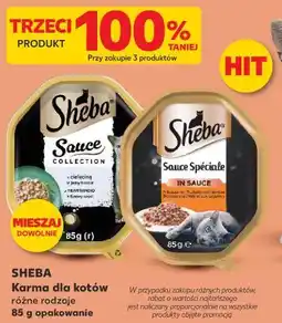 Kaufland Sheba Karma dla kotów oferta