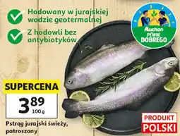 Auchan Pstrąg jurajski świeży, patroszony oferta