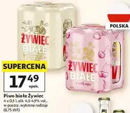 Auchan Piwo białe Żywiec oferta