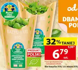 Auchan Auchan Pewni Dobrego Bio bazylia XXL lub mięta XXL oferta
