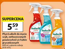 Auchan Płyn Ludwik do mycia szyb, zatłuszczonych powierzchni lub kabin prysznicowych oferta
