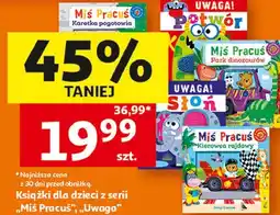 Auchan Książki dla dzieci z serii „Miś Pracuś”, „Uwaga” oferta