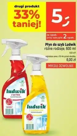 Dealz Płyn do szyb Ludwik różne rodzaje oferta