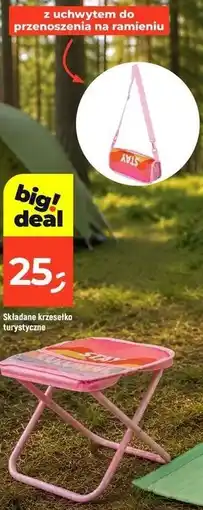 Dealz Składane krzesełko turystyczne oferta