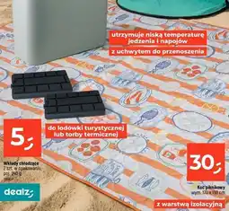 Dealz Koc piknikowy oferta