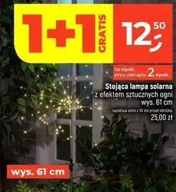 Dealz Stojąca lampa solarna z efektem sztucznych ogni wys. 61 cm oferta