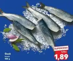Kaufland Śledź tusza oferta