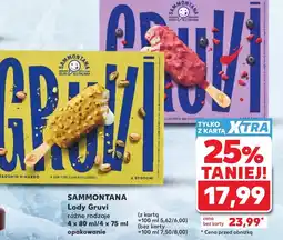 Kaufland Lody Sammontana oferta