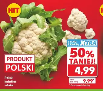 Kaufland Kalafior Polski oferta