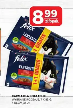 Top Market Karma dla kota Felix oferta