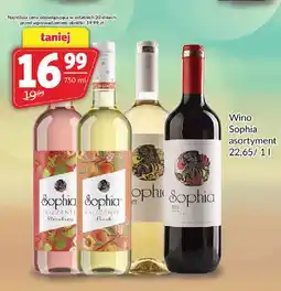 Prim Market Wino Sophia oferta