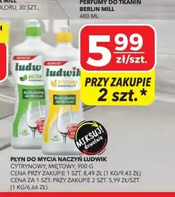 Top Market Płyn do mycia naczyń Ludwik miętowy oferta