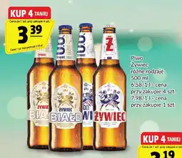Prim Market Piwo Żywiec Premium oferta