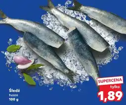 Kaufland Śledź oferta