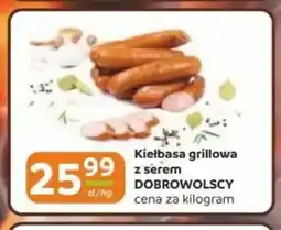 Gama Kiełbasa grillowa z serem Dobrowolscy oferta