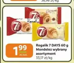 Gama Rogalik 7 DAYS oferta