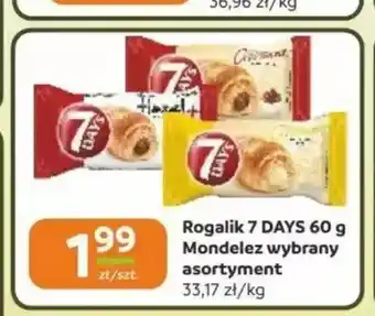 Gama Rogalik 7 DAYS oferta