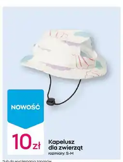 Pepco Kapelusz dla zwierząt rozmiary: S-M oferta