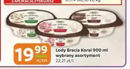 Gama Lody Bracia Koral oferta