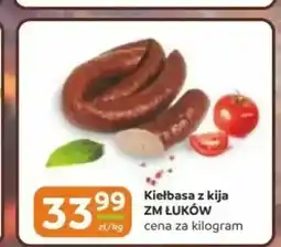 Gama Kiełbasa z kija ZM Łuków oferta