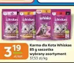 Gama Karma dla Kota Whiskas saszetka oferta