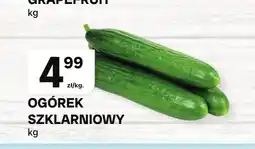 Chorten Ogórek szklarniowy oferta