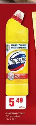 Chorten Płyn do WC Domestos Citrus oferta