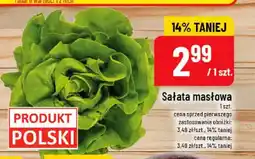 Polomarket Sałata masłowa polska oferta