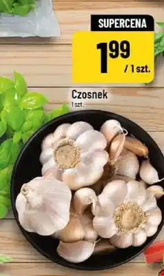 Polomarket Czosnek oferta