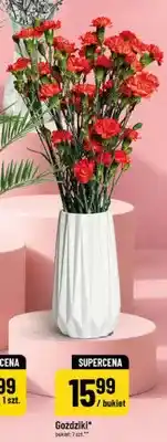 Polomarket Goździki oferta
