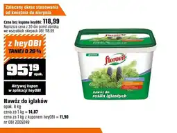 OBI Nawóz do iglaków Florovit oferta