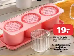 Netto Forma do lodu oferta