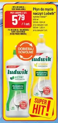 Polomarket Płyn do mycia naczyń Ludwik Miętowy oferta