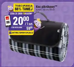 Polomarket Koc piknikowy 120cm x 150cm oferta
