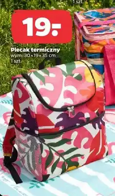 Netto Plecak termiczny 30x19x35cm oferta