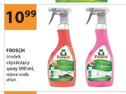 Drogerie Laboo Środek czyszczący spray FROSCH oferta