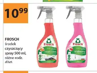 Środek czyszczący spray FROSCH