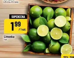 Polomarket Limonka oferta