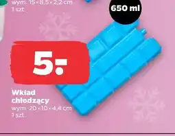 Netto Wkład chłodzący 650ml 20x10x4,4cm oferta