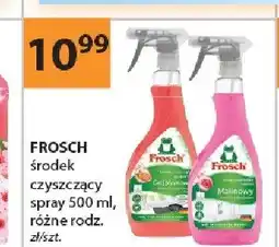 Drogerie Laboo Środek czyszczący spray Frosch oferta