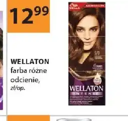 Drogerie Laboo Farba WELLATON oferta