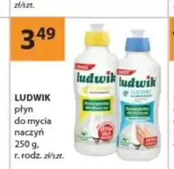 Drogerie Laboo Płyn do mycia naczyń LUDWIK oferta