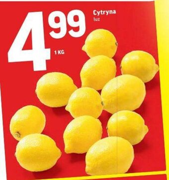 Intermarche Cytryna 1kg oferta