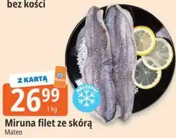 E.Leclerc Miruna filet ze skórą Mateo oferta