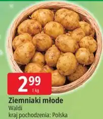 E.Leclerc Ziemniaki młode Waldi oferta