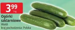 E.Leclerc Ogórki szklarniowe Waldi oferta