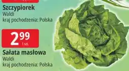 E.Leclerc Sałata masłowa Waldi oferta